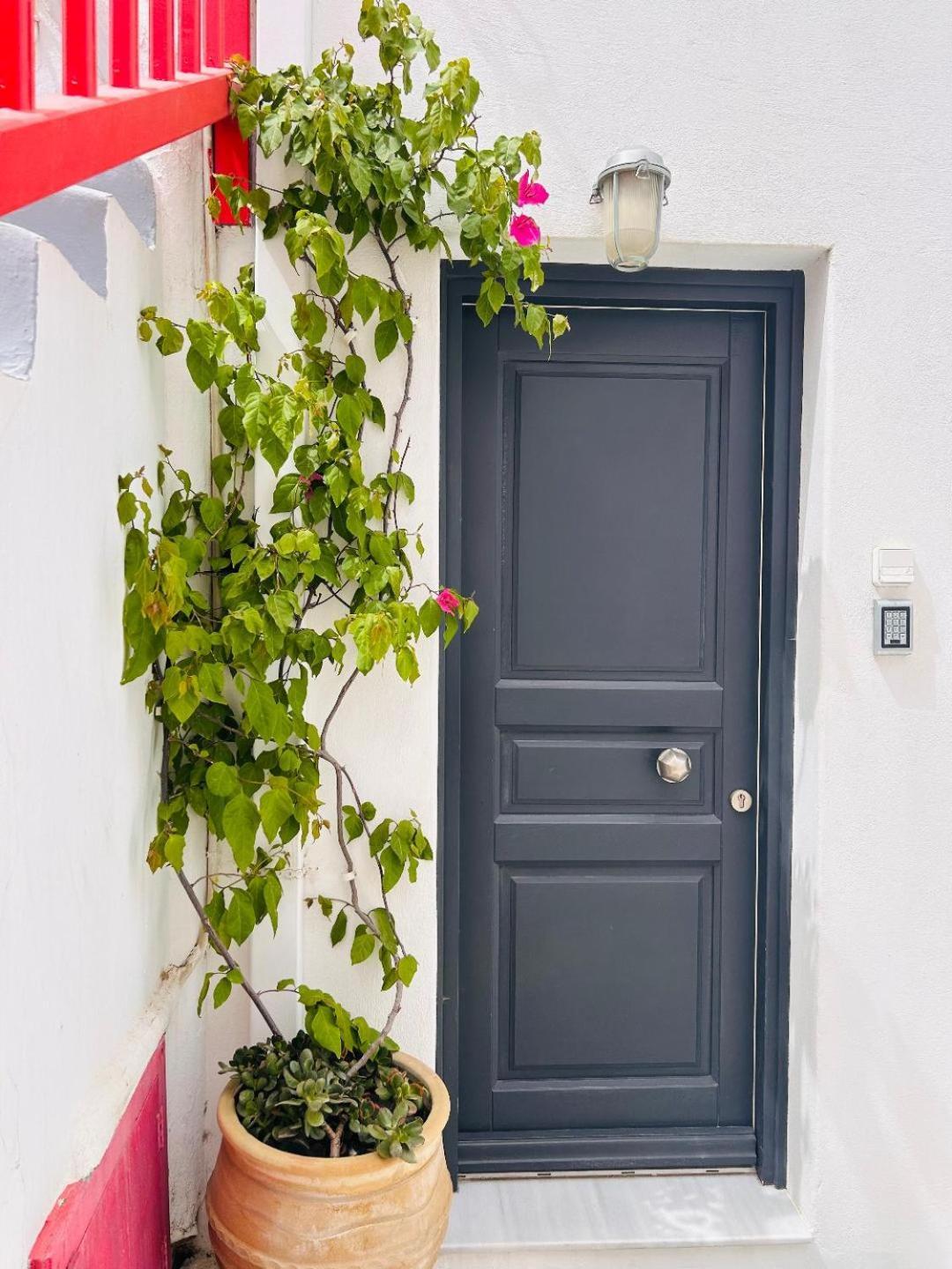 Levandamykonos Mykonos Town Extérieur photo